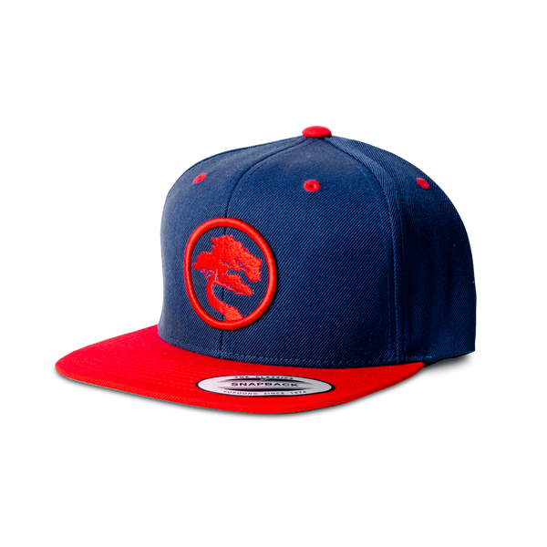 USSD Logo Snapback Cap