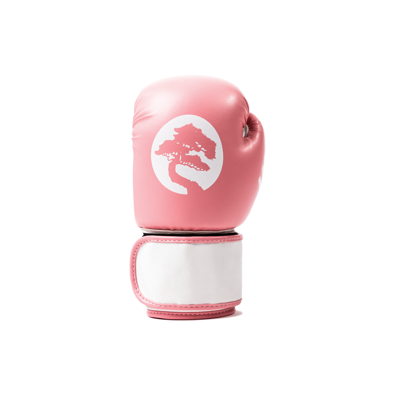 USSD SK1 Sparring Gloves Series 1