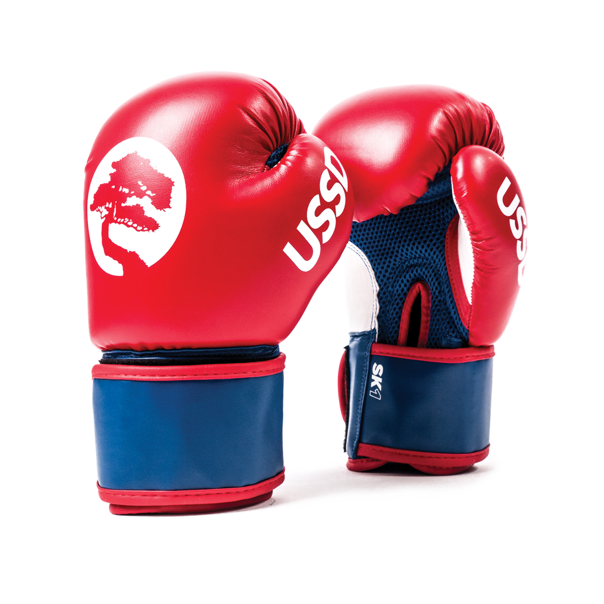 Boxing Gloves – Bushido